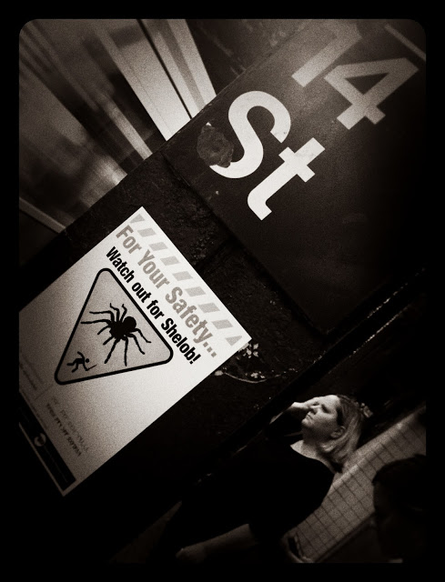 Watch out for Shelob by street artist PUCK (downtown 4 train; Car#6777)